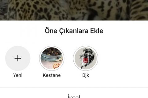 Instagram Hikayelerini Öne Çıkarma ve Arşivleme